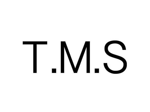 T.M.S造型会馆